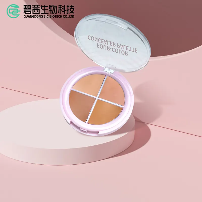 4 Kulay ng Concealer Kit